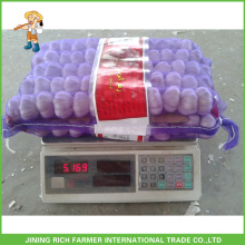 Import Jining Fresh Garlic